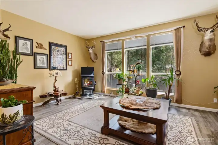 Den for study relaxing, pellet stove