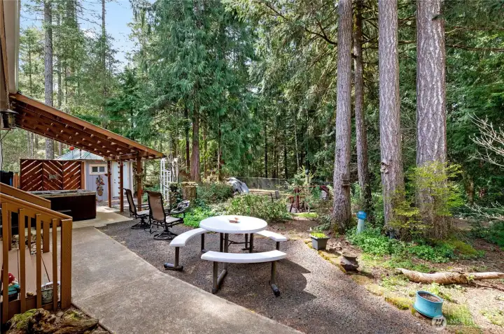 Dining table out back