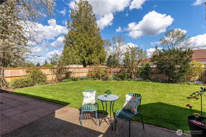 Patio outside the kitchen/family room
