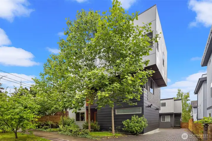 Beautiful modern single family home!