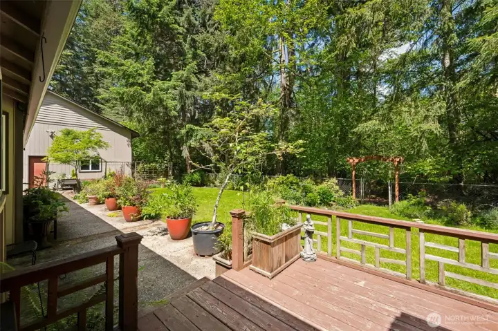 Deck and Patio