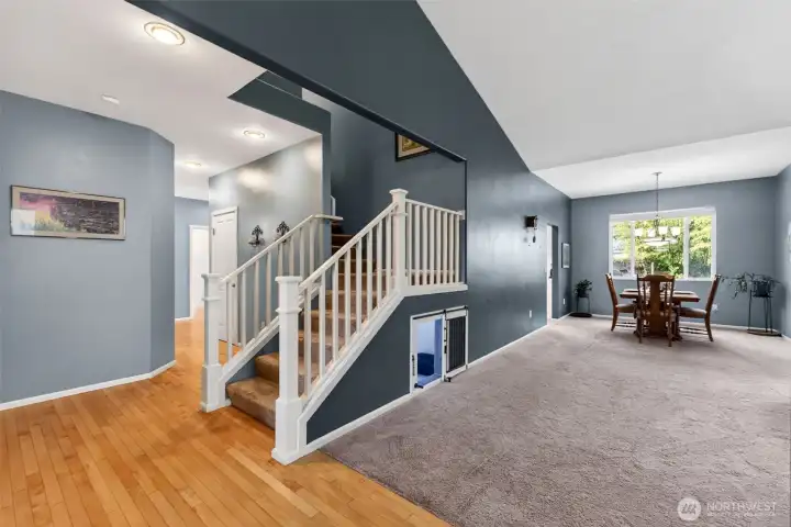 Pets & Kids hangout/play area under the stairs with remote & multiple light color options