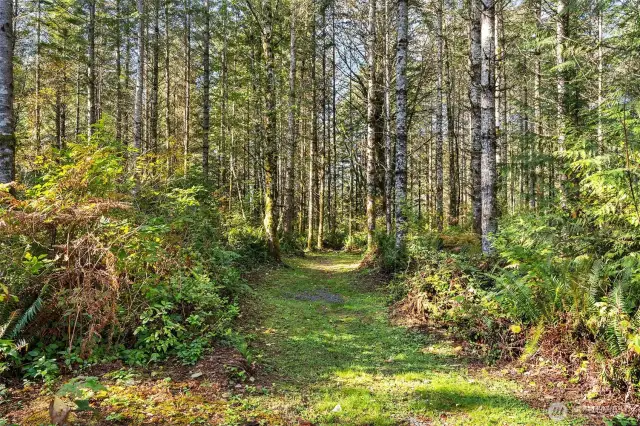 One of many trails on your property (in addition to the 2000+ state land)