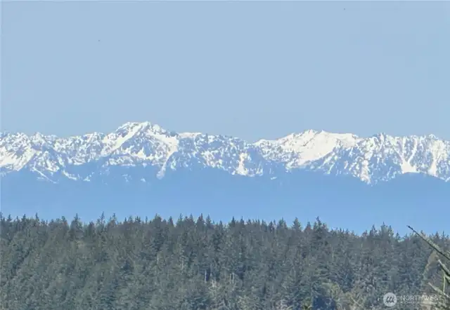 Gorgeous views of the Olympics from this home and property.