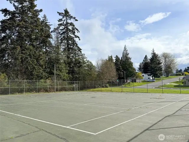 Tennis Courts at Shane Park