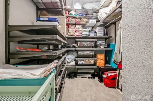 Guest Rm closet w/customizable Elfa shelving!