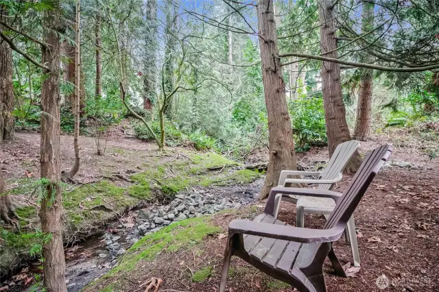 Seasonal creek behind home