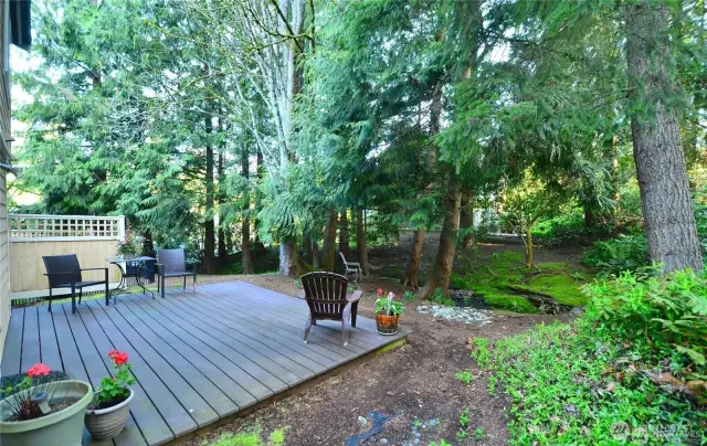 Beautiful back deck with stream!