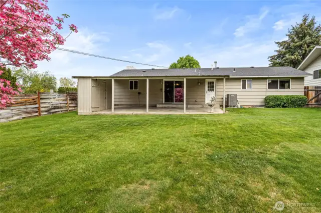 Covered back patio with storage shed