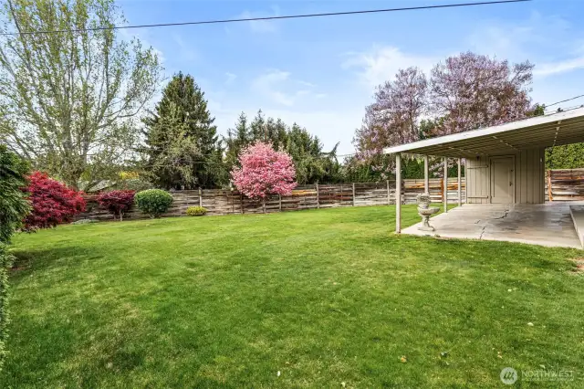 Fully fenced backyard