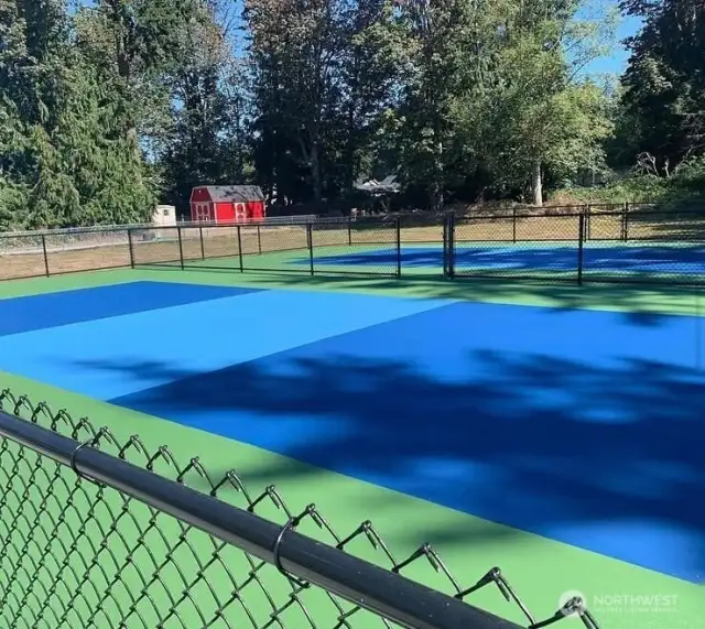 Community Pickelball Court