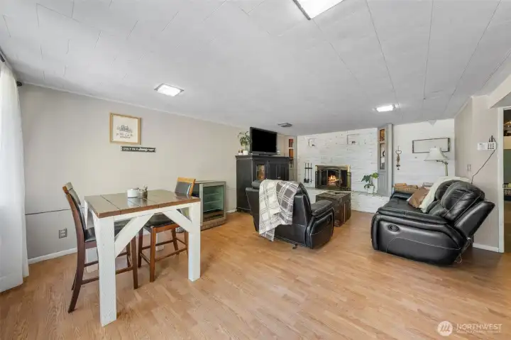 Daylight Basement Living Space