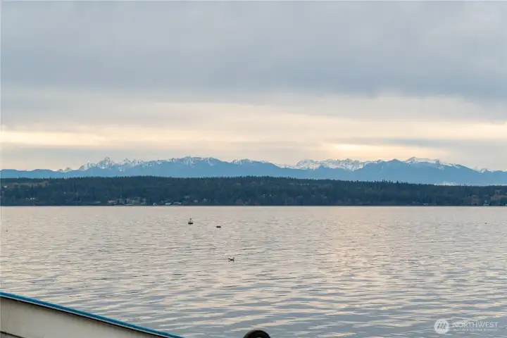 Community Waterfront