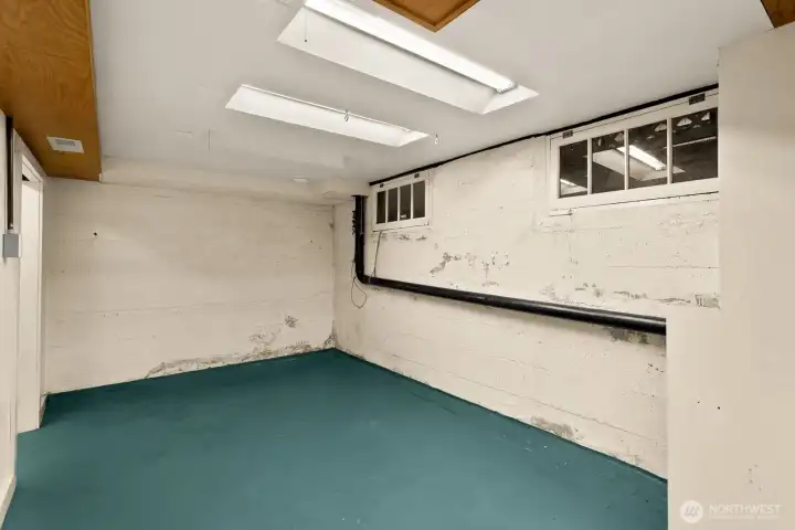 One of two flexible lower-level spaces with skylights and durable finishes, perfect for storage, projects, or studio use.  There is an additional storage closet on the left of the photo.