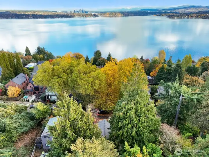 The lake was like a pond the day we took photos.  Your new home is nestled at the bottom of this photo between the two evergreens.  You can only see the rooftop and you are THIS close to Lake Washington, parks, staircase workouts and ammenities.  Downtown Seattle is only minutes away.