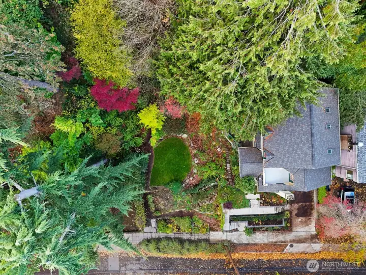 This is  the view of the footprint of your double lot home in Leschi.  10,500 sq foot lot with 3 bedrooms, 2.5 baths, plus 2 spaces for studio, shop, or storage.  The primary suite encompasses the entire top floor with a rooftop deck.  On the main level there is a chef's kitchen, formal dining and formal living room, hardwood floors and tremendous architectural detail.