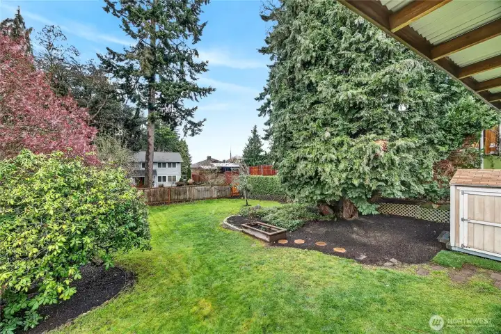 Looking out to the backyard from your deck.