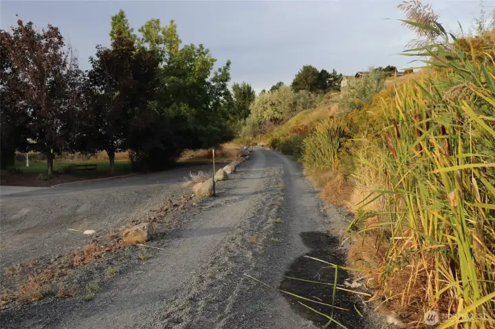 The gravel driveway to the property, and community access to the water. The gravel driveway to the property, and community access to the water.