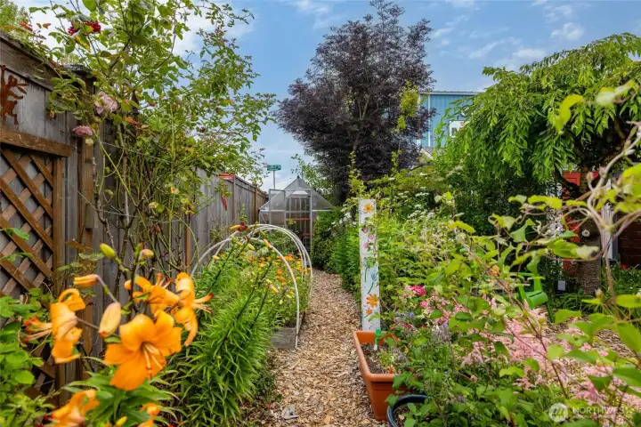 Lovely garden getaway. This little path leads to the greenhouse!