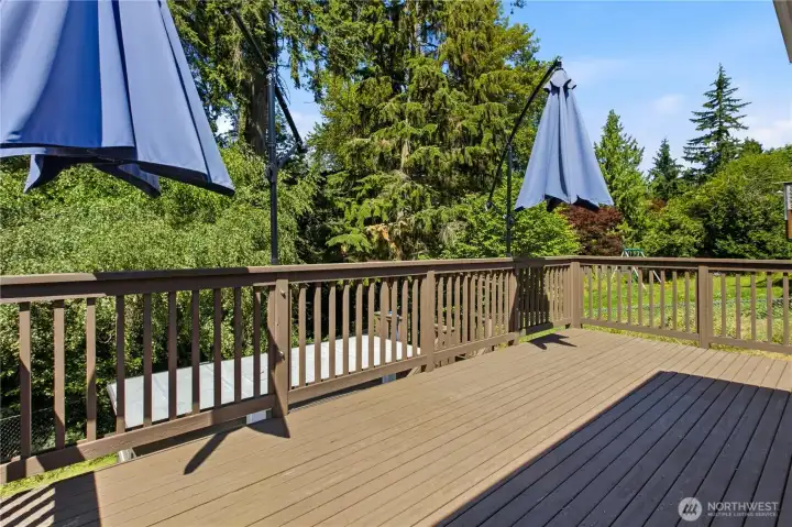 Large Deck Off the Main Floor Kitchen with Stairs to Lower Level Large Deck Off the Main Floor Kitchen with Stairs to Lower Level