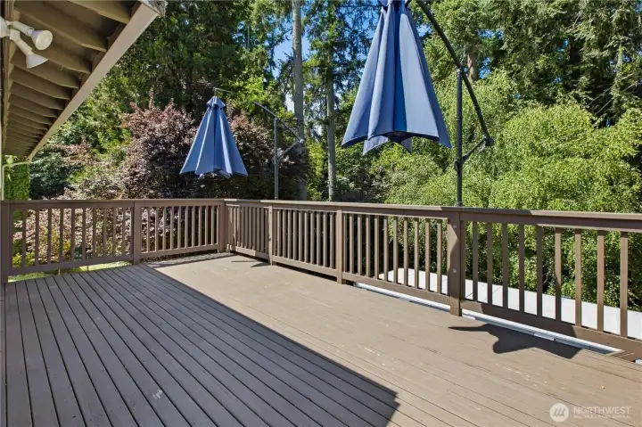 Deck Overlooks the Green Belt and Back Yard Deck Overlooks the Green Belt and Back Yard