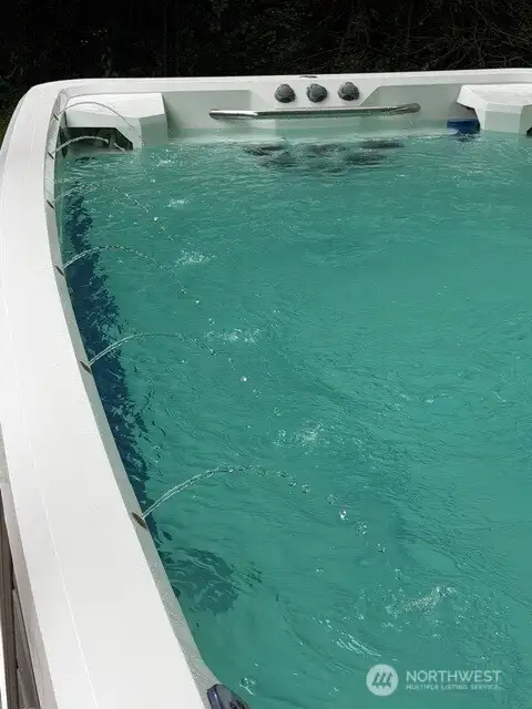 Swim Spa has Lights, Jets & Fountains Swim Spa has Lights, Jets & Fountains