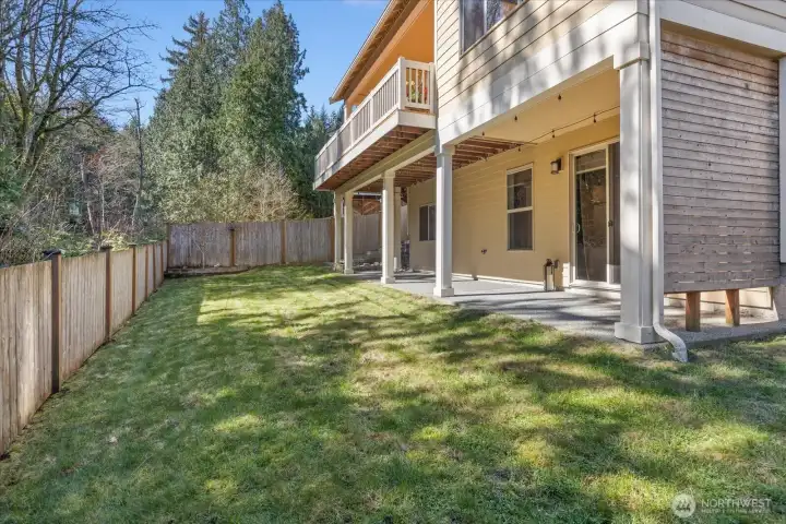 Back yard with length of house patio