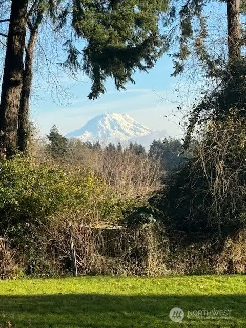 This is a photo the seller took from the backyard on a sunny day