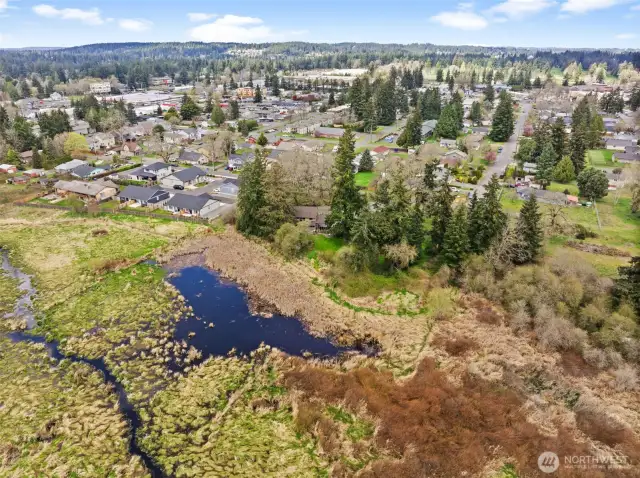 2.5 acres of complete privacy and front row view to nature, trees & wildlife