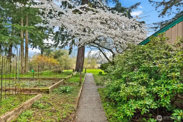 Trails, garden beds, a horse pasture, water and mountain view - this property is magical