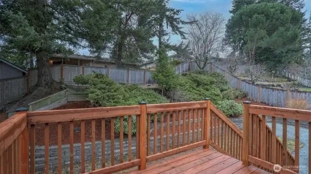 Step outside to this brand new deck just off the kitchen and dining room, great for entertaining, with steps leading to the spacious back yard!