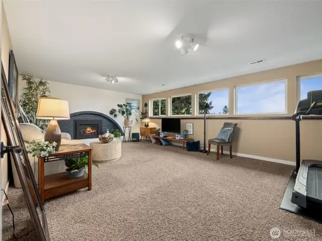 Family Room / Flex Space