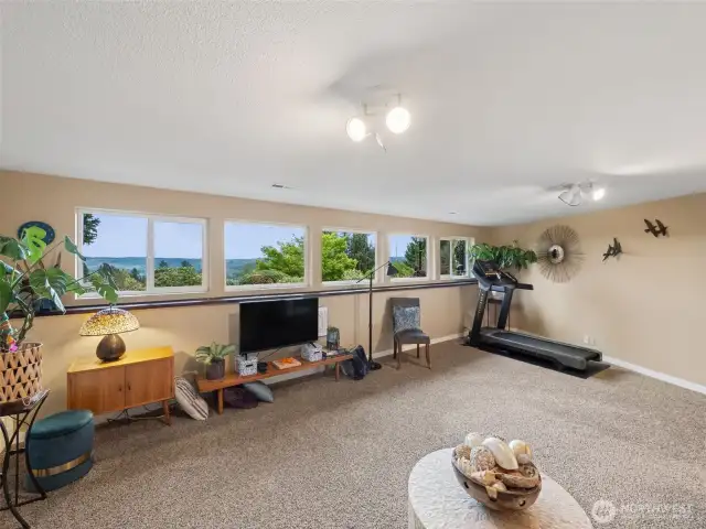 Family Room with views