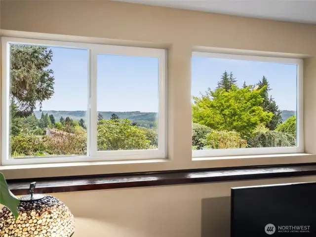 View from lower level family room