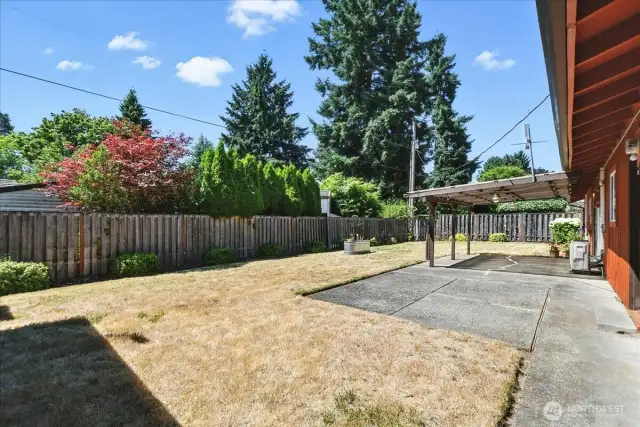 Backyard Fenced