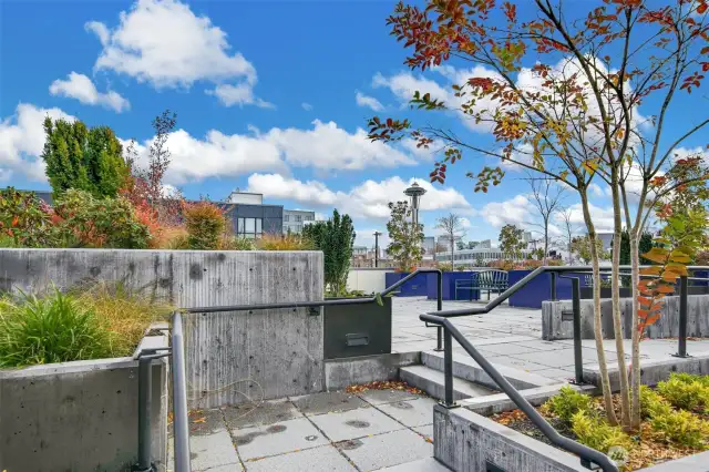 An iconic Space Needle View to share with guests or enjoy quietly on your own. This home is an oasis in the city!