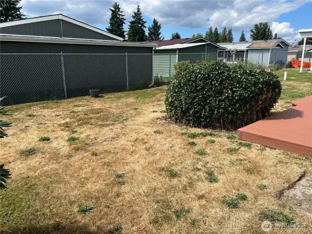 Large back yard.