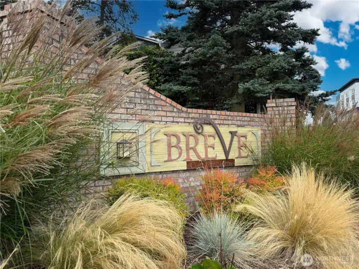 Welcome to Breve