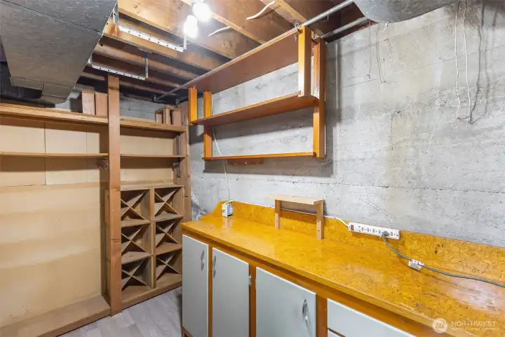 Basement walk in pantry