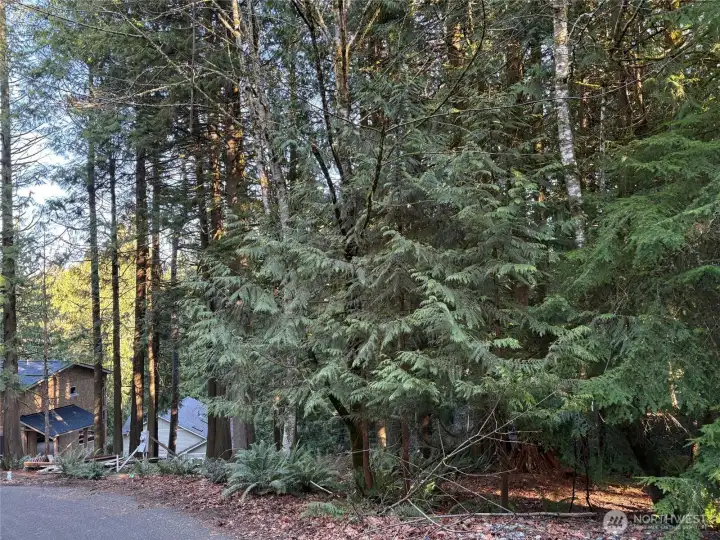 The new home is on the adjacent double lot below.