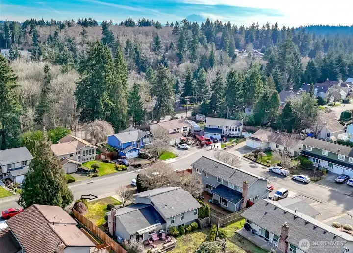On the bottom of this picture, in the middle is the 4 bedroom Dumas Bay Estates home for sale and to give you perspective, to the southwest is Mt. Rainier pictured.  To drive to Mt. Rainier it would take approximately two hours heading south from Federal Way into Orting to the most southern part of the town of Eatonville.