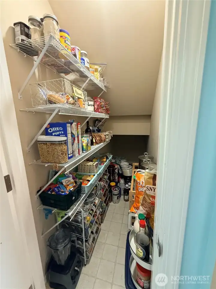 Huge walk-in pantry connected to the kitchen.