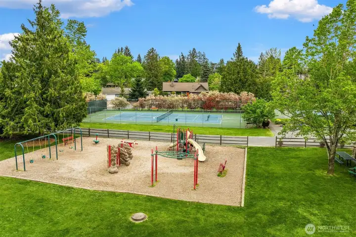 Community Park