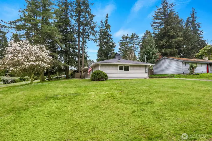 Massive Grass Space on Corner Lot - Newly Seeded