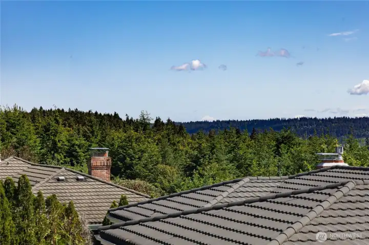 Mt Baker from the upstairs windows - Mt Baker from the upstairs windows -