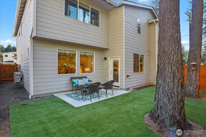Brand new turf backyard
