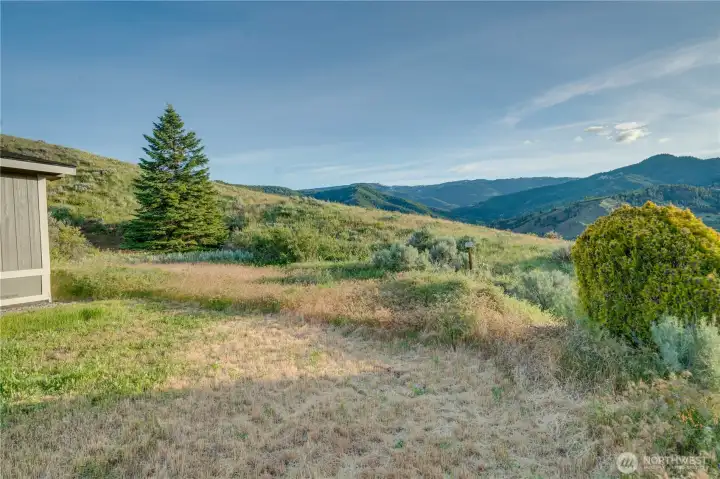 Front Yard Area