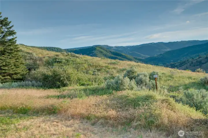 Gorgeous Mountain Views