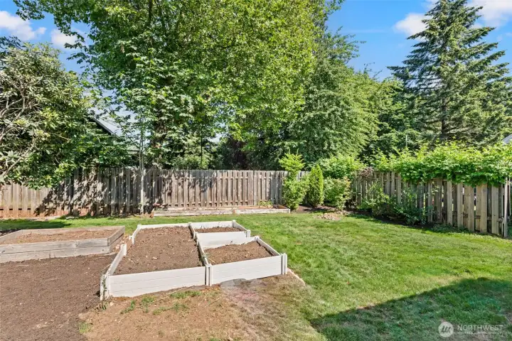 Private back yard