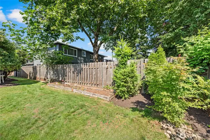 Large side yard
